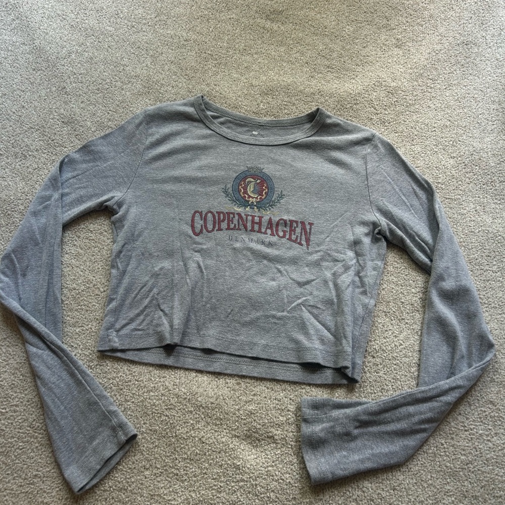 PacSun Gray Long Sleeve Crop T-Shirt